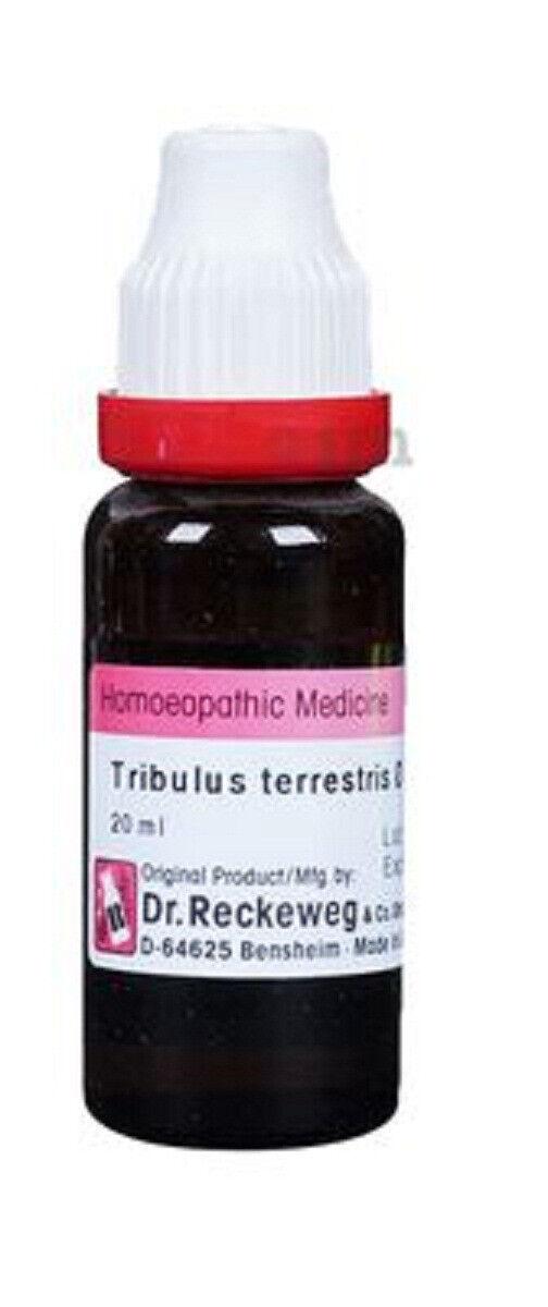 

@ Dr. Reckeweg Tribulus Terrestris Q Homoepathic 20ml R546 Zr343-60%Off