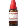 @ Dr Willmar Lachnanthes Tinctoria 6CH D649 UKR270_60%OFF
