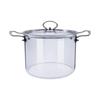 Glass Cooking Pot 5.8QT Clear Borosilicate Saucepan with Lid for Stovetop, HeatResistant Handle