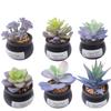 Home Decoration Simulation Succulent Plant Cement Bonsai, Fake Succulent Potted Plant, Mini Simulation Succulent Potted Plant
