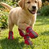 4PCS/SET Reflective Stripe Mesh Dog Shoes Breathable Pet Paw Protector Pet Booties All-season Use