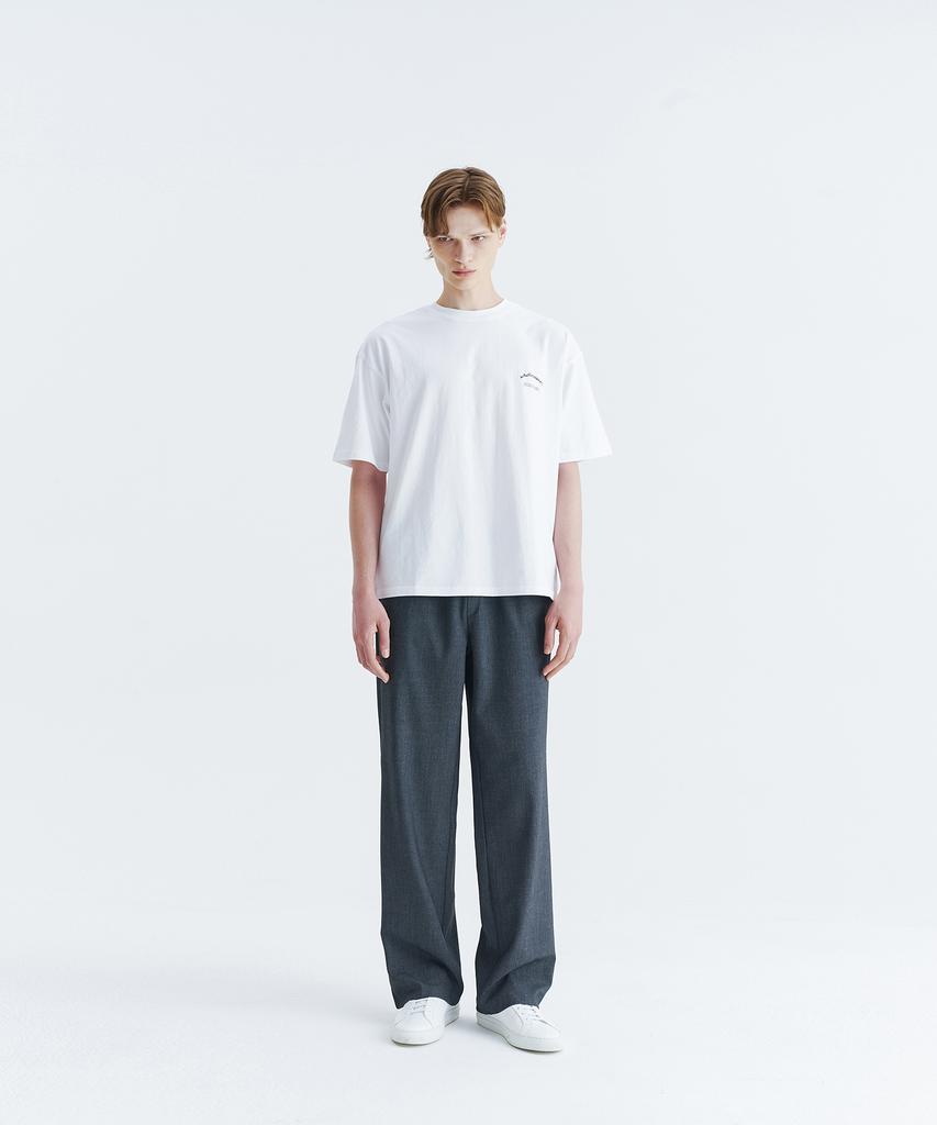 WHOLOVESART [Summer Fabric Added] Unisex Semi-Wide Elastic Waist Slacks Gray