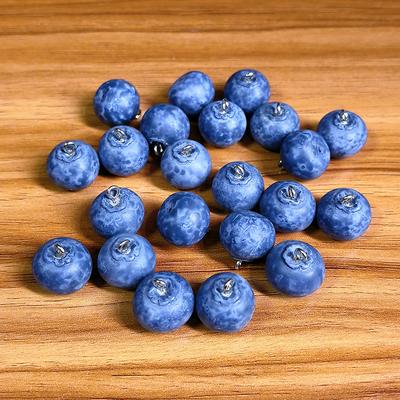 Blueberry Fruit Jewelry Pendant DIY Cute Food Earrings Necklace Keychain Accessories