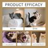 Cute Teething Sticks For Healthy Teeth Grinding, Protecting Your Pet's Teeth And Attracting Their Attention.