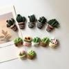 Mini Cactus Potted Plant Resin Fridge Magnet Home Decoration Magnet Photo Fixing Magnet
