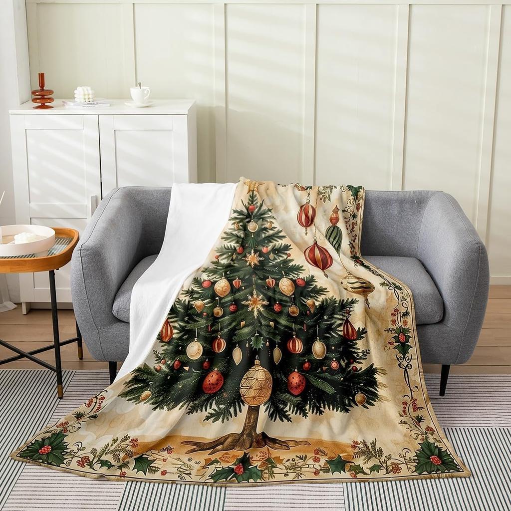 Xmas Grids Flannel Blanket Warm Lightweight,Merry Christmas Theme Warm Blanket for Couch Sofa Decor,Cartoon Santa Claus Warm