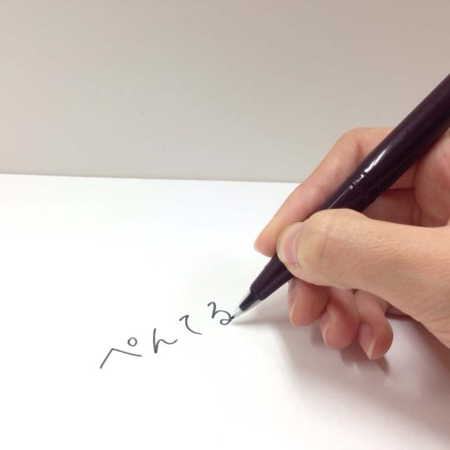 Pentel Signature Pen Plaman JM20-AD Set of 10 Black