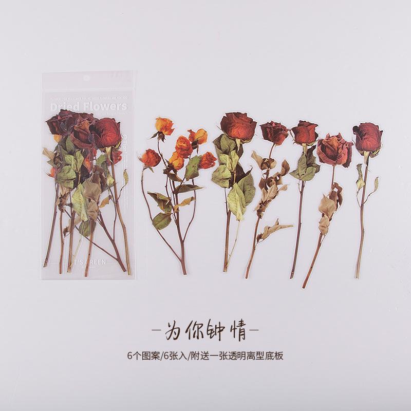 

6Pcs/Bag Vintage Botanical Stickers Aesthetic Flowers Hand Account Material Decorative Stationery Sticker