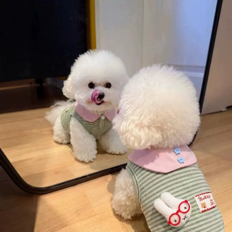 New spring and summer pet puppy clothes cute doll vest suitable for pet small dog Bigbear cat clothing