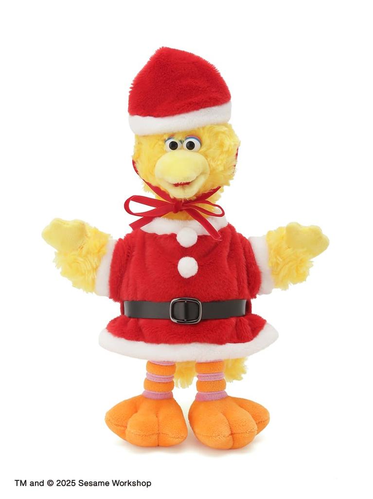 Santa Plüschkostüm (Klein)