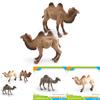 Desert Animal Pvc Figurine Twin Hump Camel Static Decor For Children Learning Play