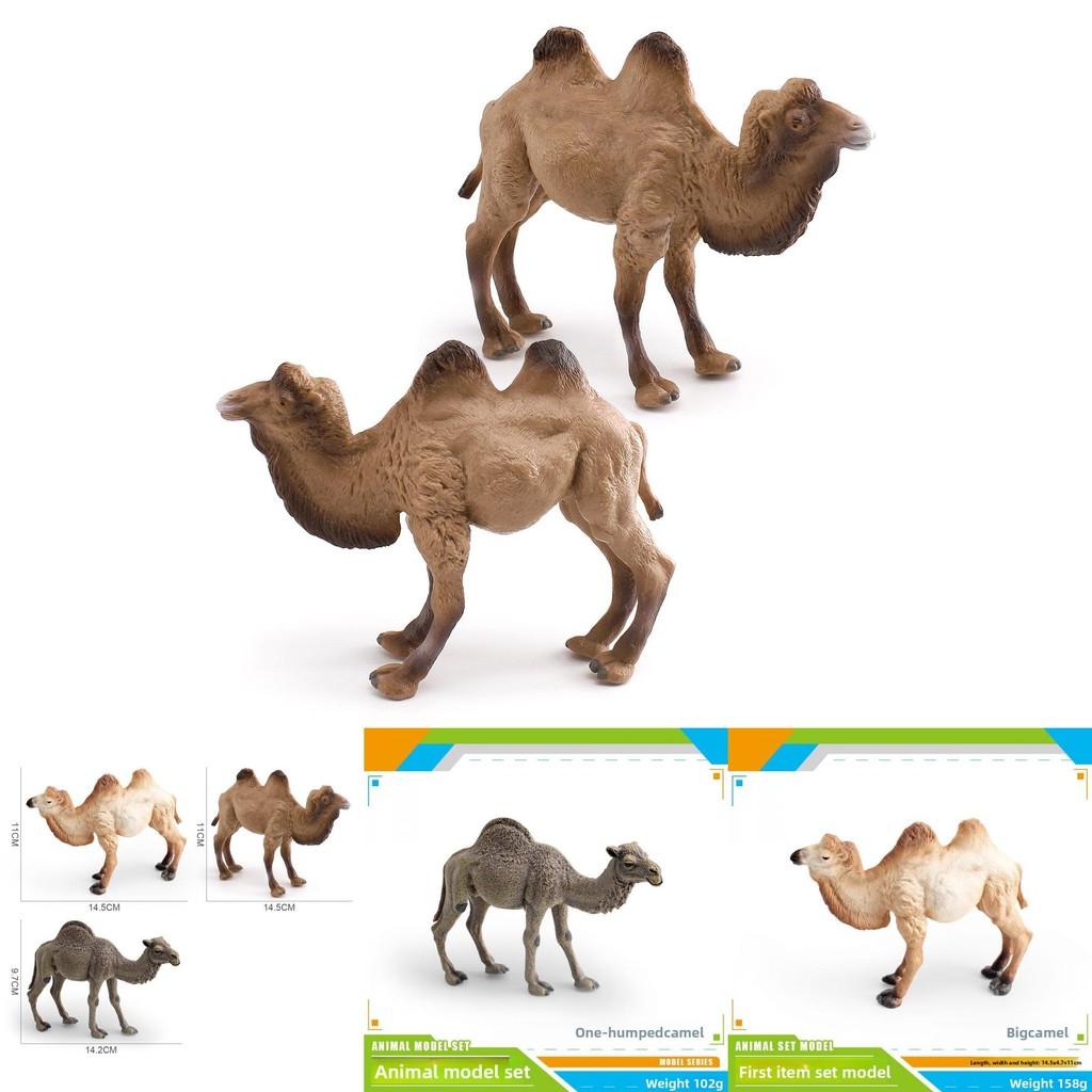 Desert Animal Pvc Figurine Twin Hump Camel Static Decor For Children Learning Play
