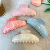 Imitation Acetate Jelly Color Hair Clip Women's High-end Hair Shark Clip Temperament Hair Accessories