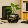 5 Inches, Lily Black Metal Plant Pot with Saucer Plate | Indoor Outdoor Home Decor Item for Garden Plants Flower, Balcony, Patio, Living Room, Garden