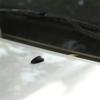 Washer Wiper For Toyota Mazda Hyundai Windscreen Sprayer Water Spout Outlet Nozzle Sprinkler