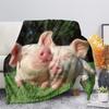 Cute Pig Pink Fleece Blanket Soft Warm Bedroom Throw Blanket On Bed Sofa Bedding Travel Sherpa Blankets for Adult Kids Quilt