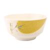 Melamine Noodle Soup Bowl