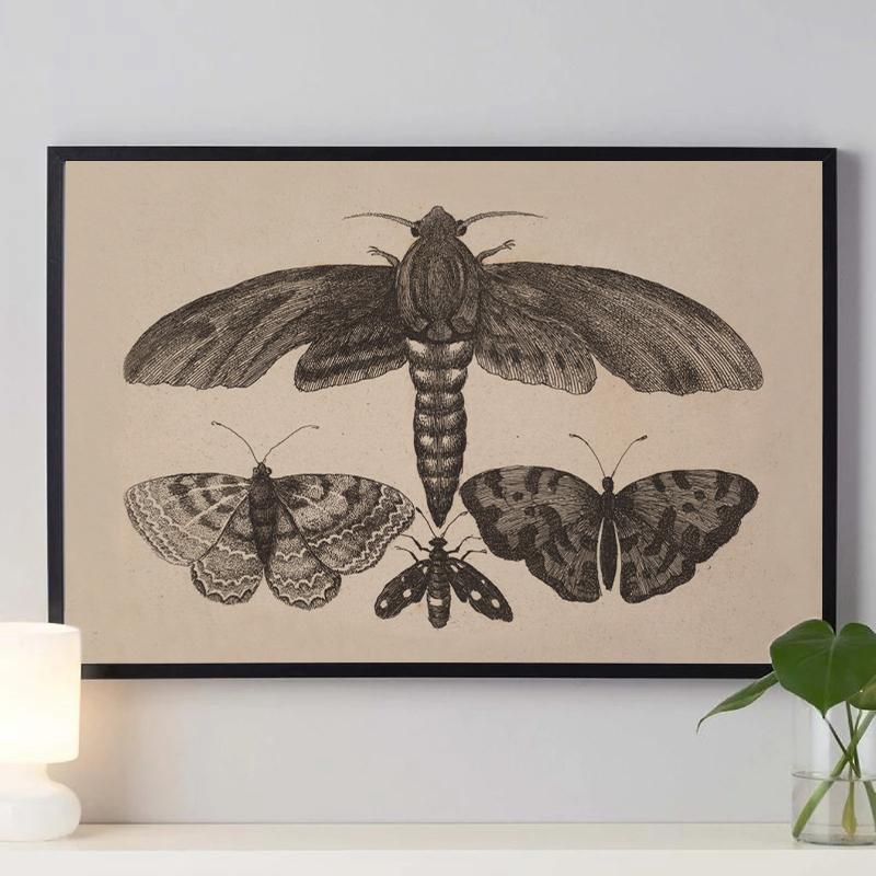 Vintage Spider Antique Bat Raven Moth Butterfly Gothic Art Poster Canvas Painting Wall Prints Picture Dark Academia Decoration