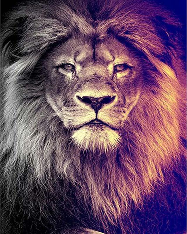 Diamond Painting Running Water Countryside Landscape Spring 5D Diamond Embroidery Cross Stitch Dog Animal Pictures of Rhinestones Mosaic Sale Wall Art