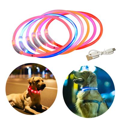 Köpek – Köpek Tasmaları ve Tasma Kayışları
