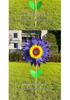Colorful Sunflower Double-Layer Children's Handheld Pinwheel for Outdoor Decoration