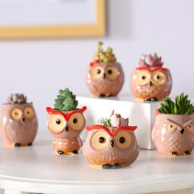 Mini Owl Flower Pot Garden Office Decoration Succulent Ceramic Flowerpot Pastoral Cute Animal European Style Household Flowerpot