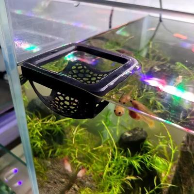 Fische & Meerestiere – Aquarien-Einrichtung