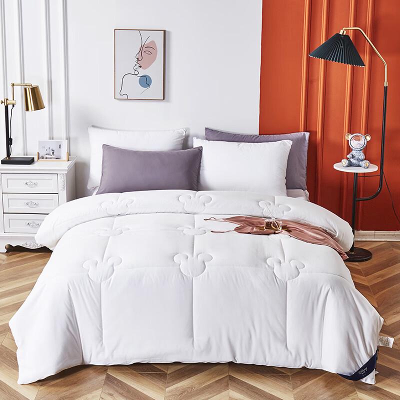 

Disney Milk Protein Nano Quilt