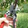 Manual Steel Pruner Trees Branch Pruning Shears Bonsai Trimming Scissors Gardening Accessory