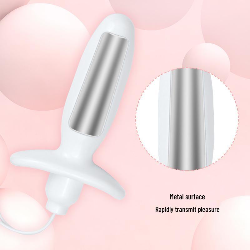 Rechargeable Remote Control Electric Shock Butt Plug for Men & Women - Silent Anal & Vaginal Masturbator