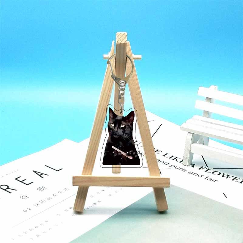 Abstract Cat Meme Emoji Acrylic Keychain
