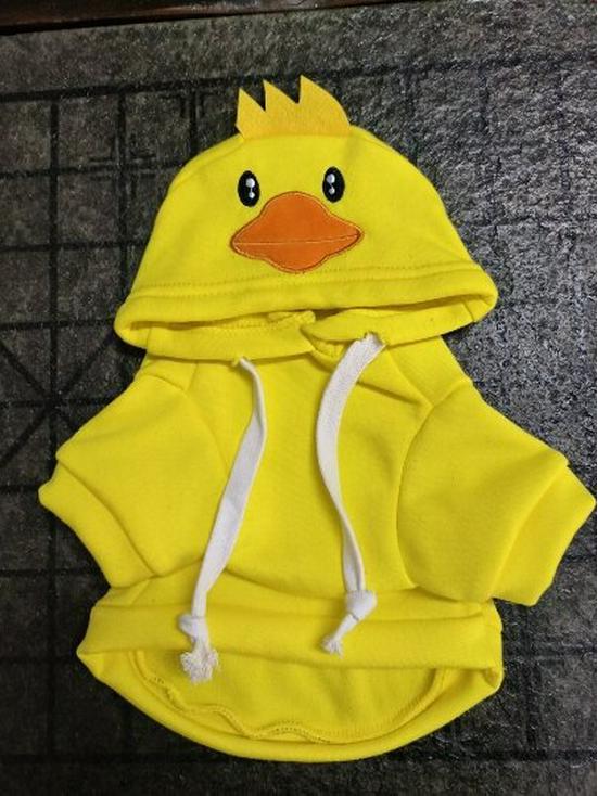 

Pet Frog Transformative Hoodie: Autumn/Winter Fleece Sweatshirt for Cats & Small-Medium Dogs M
