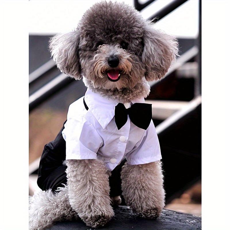 1pc Pet Cooling Shirt, 4-Leg Design, Formal Collar, Cat Dog Clothes