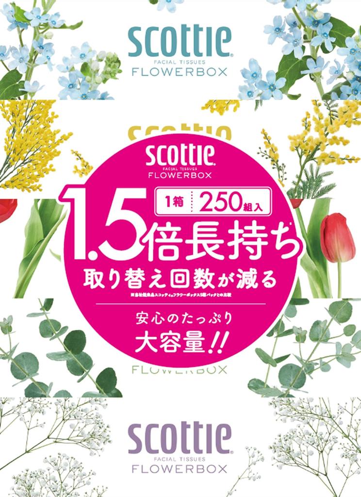 Scotty Flower Box Taschentücher 500 Blatt 5 Boxen x 12 [Kartonverkauf] Langlebig (250 Paare)