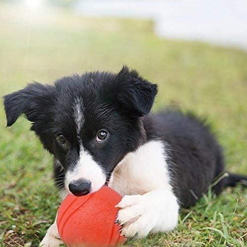 Ard Rubber Balls for Dogs,Dog's Solid Rubber Bouncy Ball Bite Resistant and Indestructible Dog Training Ball,Dog Balls for Aggressive Chewers