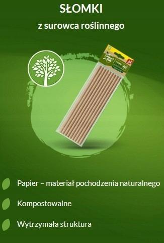 Jan Niezbędny paper straws for drinks 40 pieces