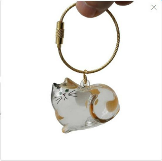 Clear Cat Hair Capsule Keychain: Commemorative Storage Box and Charm