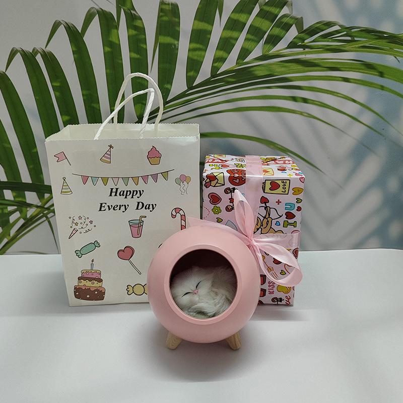 Kreatives Katze Atmosphäre Nachtlicht - USB Wiederaufladbar, Kinder Touch Nachttischlampe