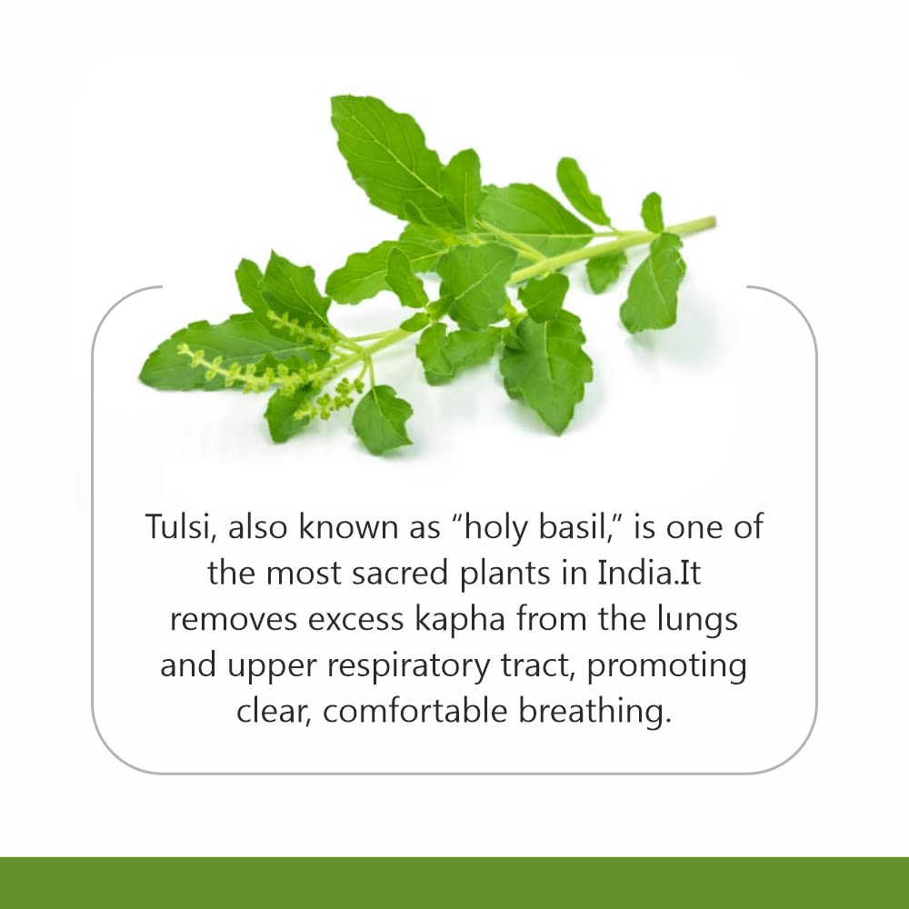 Jain Tulsi Pure Powder 400 g Pack of 1 – Organic Holy Basil Powder for Wellness and Daily Use