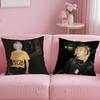 music work Nettspend We Not Like You Cushion Cover Soft  EasyWash Pillow Case  Versatile for Couch Bed Travel and Office