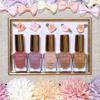 Canmake Nail Foundation 09         8ml