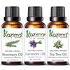 KAZIMA Essential Oils - Rosemary Oil, Lavender Oil & Tea Tree Oil (Combo Pack of 3) 15 Ml Each