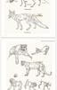 Classic Animal Sketching Techniques: Beginner's Hardcover Self-Study Guide