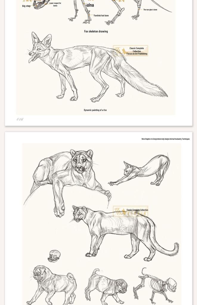 Classic Animal Sketching Techniques: Beginner's Hardcover Self-Study Guide