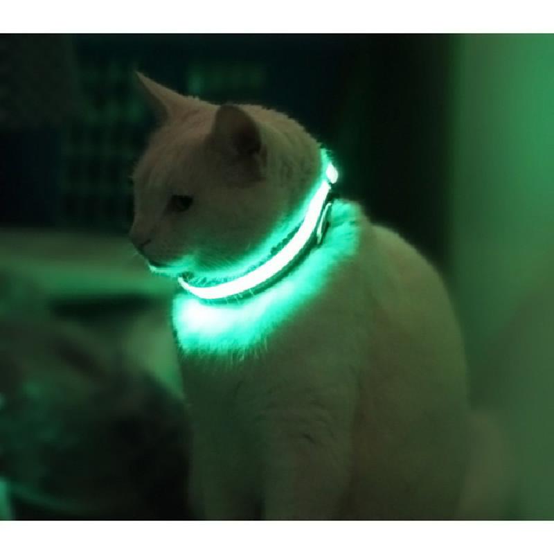 Glowing Led Dog Collar Adjustable Usb Rechargeable Nylon Pet Collar For Night Safety