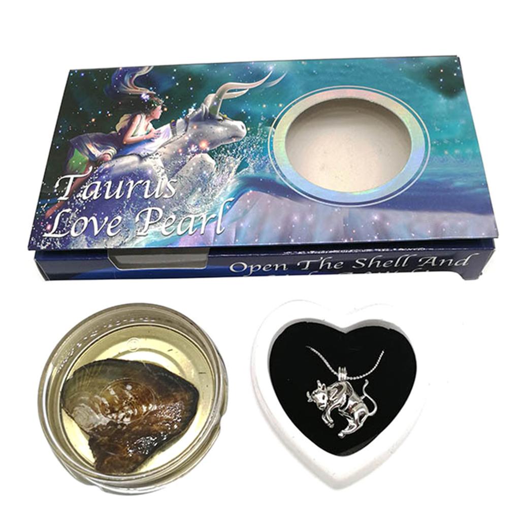 Kit Fai da Te Creazioni Perla d'Amore Zodiaco Desideri con Collana Ciondolo Conchiglia di Perla d'Acqua Dolce Scatola Regalo in Lattina per Decorazione Donna