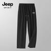 JEEP SPIRIT Herren Übergröße Eisseide Straight Leg Freizeithose