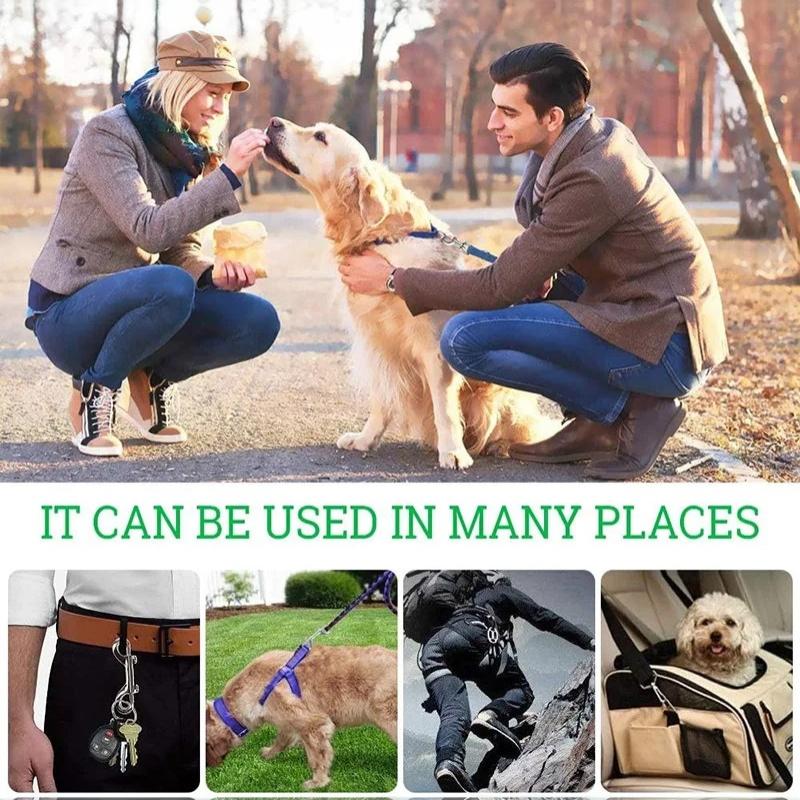 Stainless Steel Dual End Bolt Snap Hook Heavy Duty Anti Rust Clip for Dog Leash Diving Keychain Horse Tack Pet Supplies