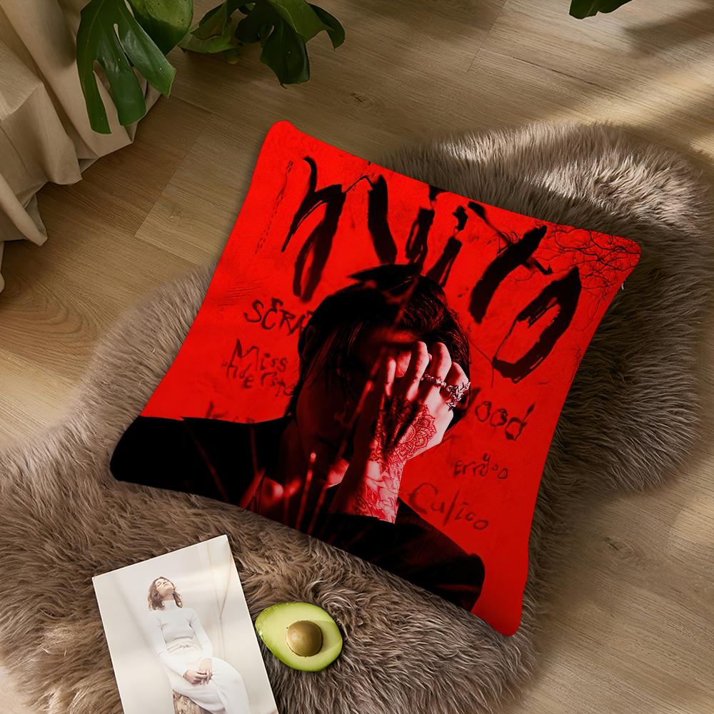 Musical artist ddpr ian Pillow Case Living Room Accent Couch Back Support Square Lounge Restful Nap Companion ?