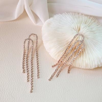 Women's Daily 925 Silver Nara Long Long Earrings